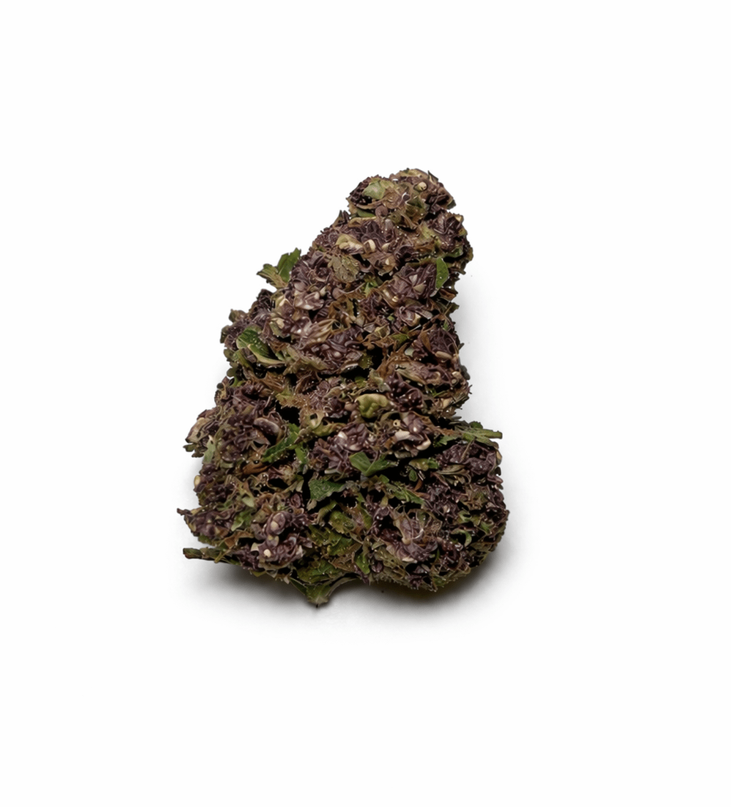 Aladin Purple Kush