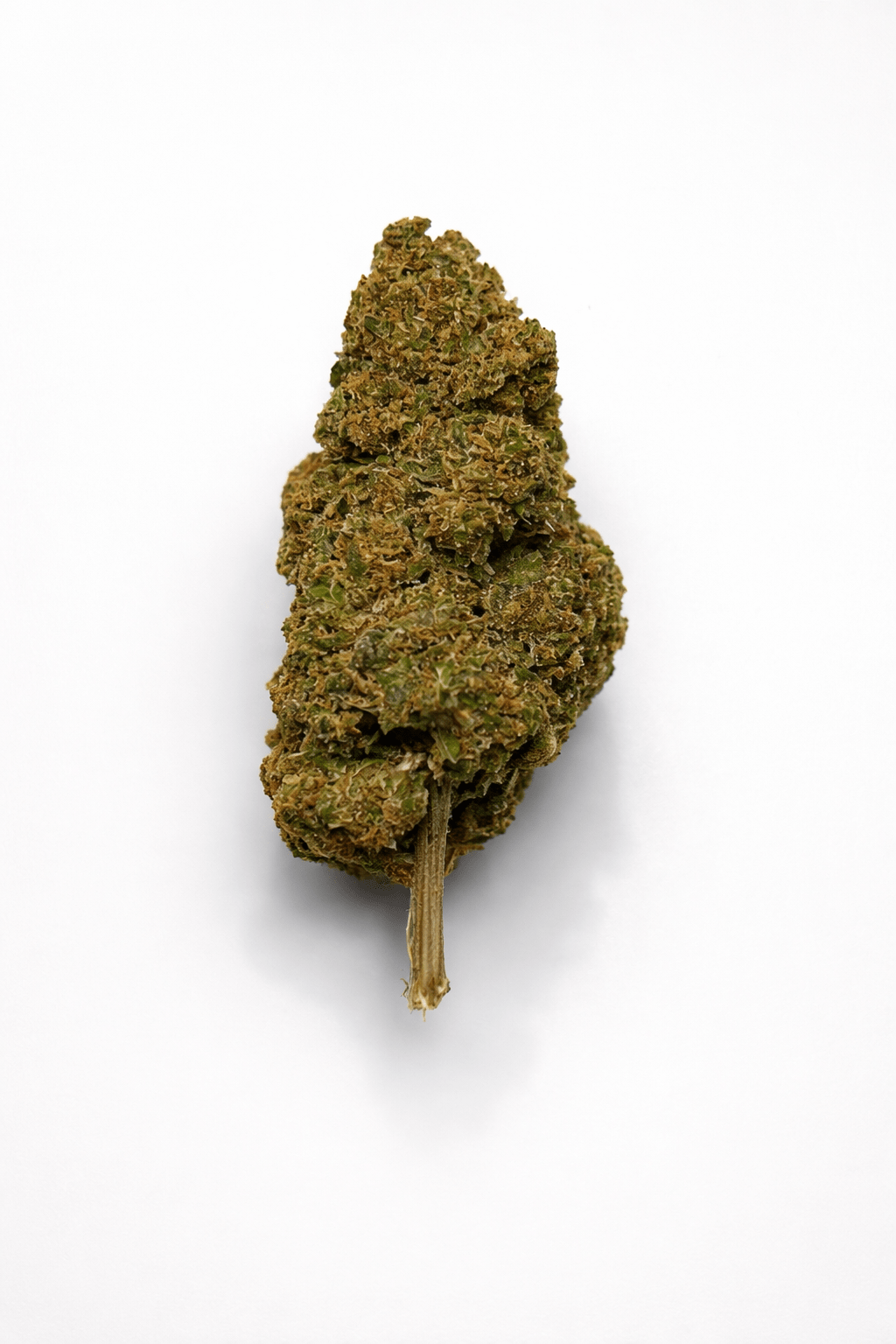 Tropical Punch