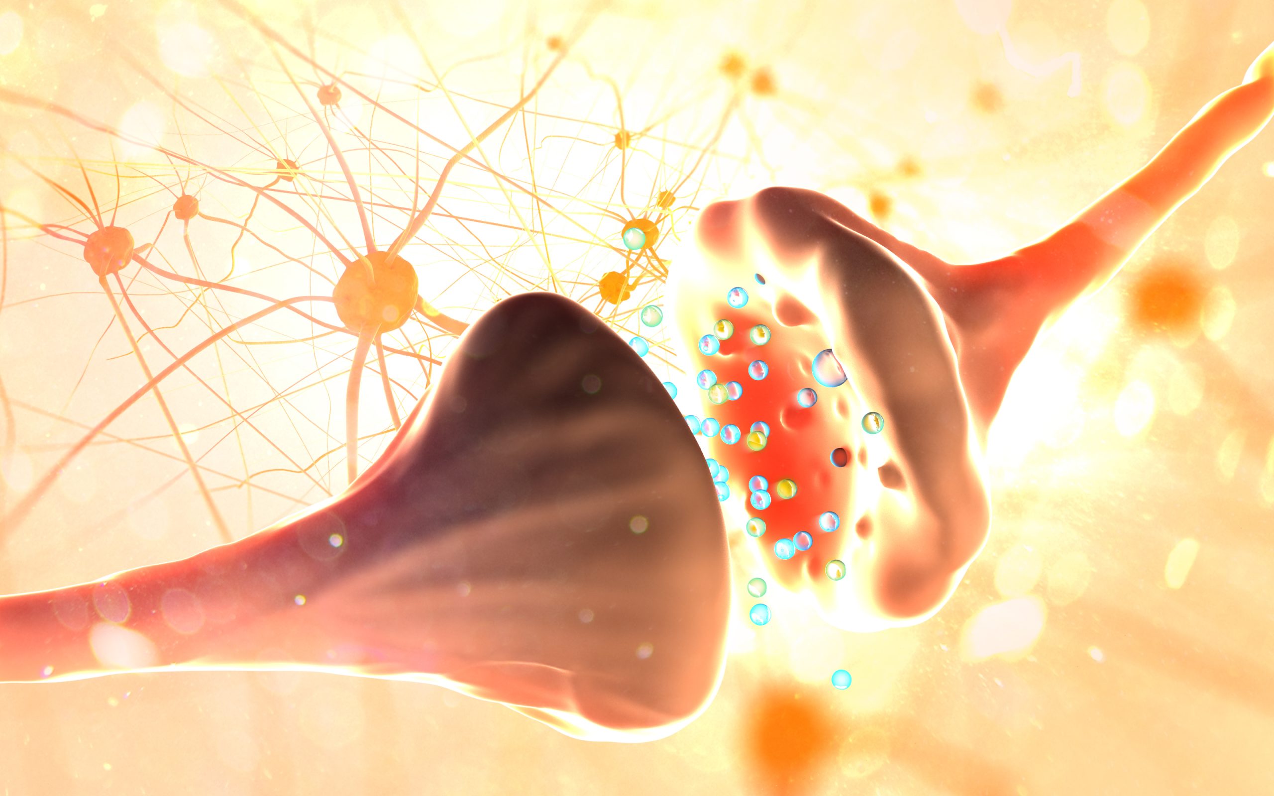 Cannabis Anatomy & Physiology