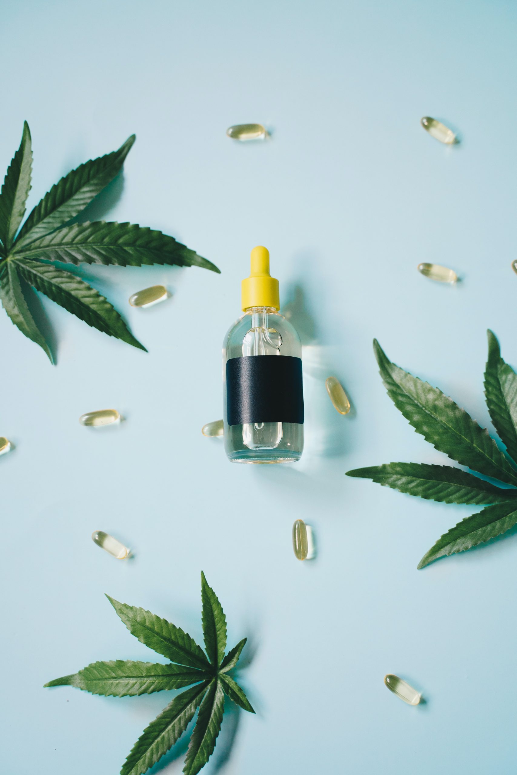 A supportive, intentional approach to wellness